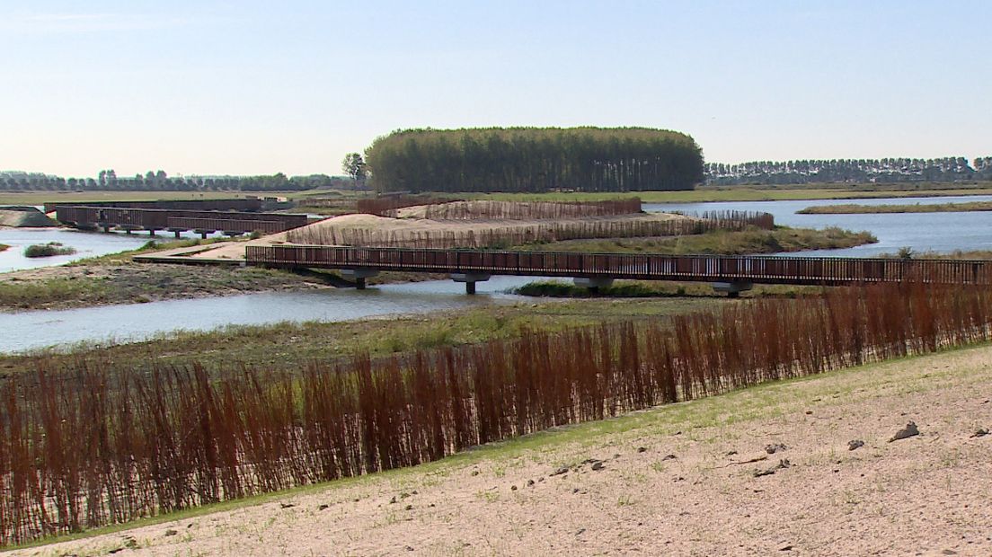 Loopbrug in natuurgebied Waterdunen