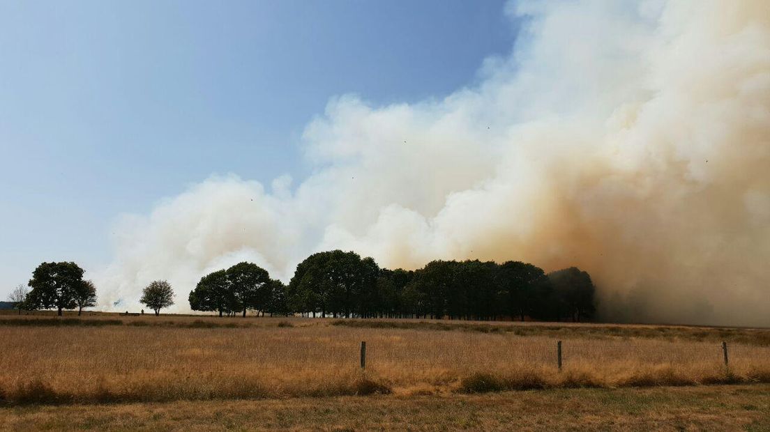 Grote heidebrand in Wateren (Rechten: Persbureau Meter)