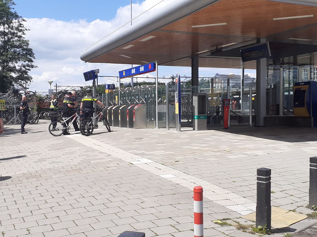 Het station van Dordrecht, net buiten het Weizigtpark