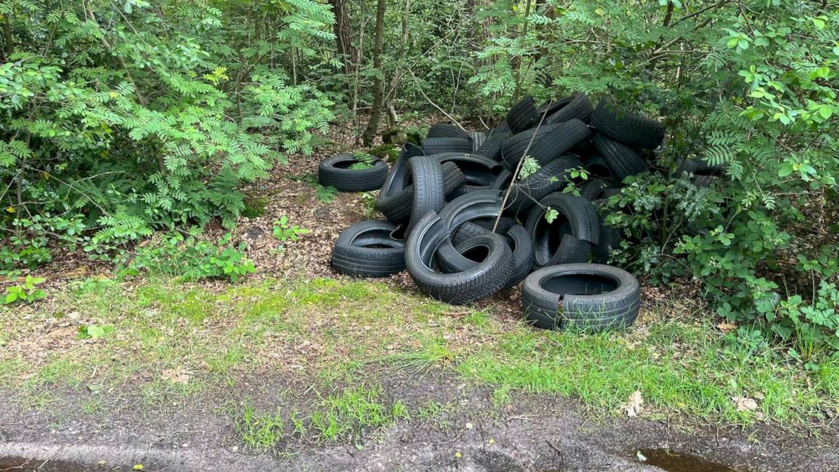 200 autobanden gedumpt in Drentse natuur: 'Dit is heel bizar'