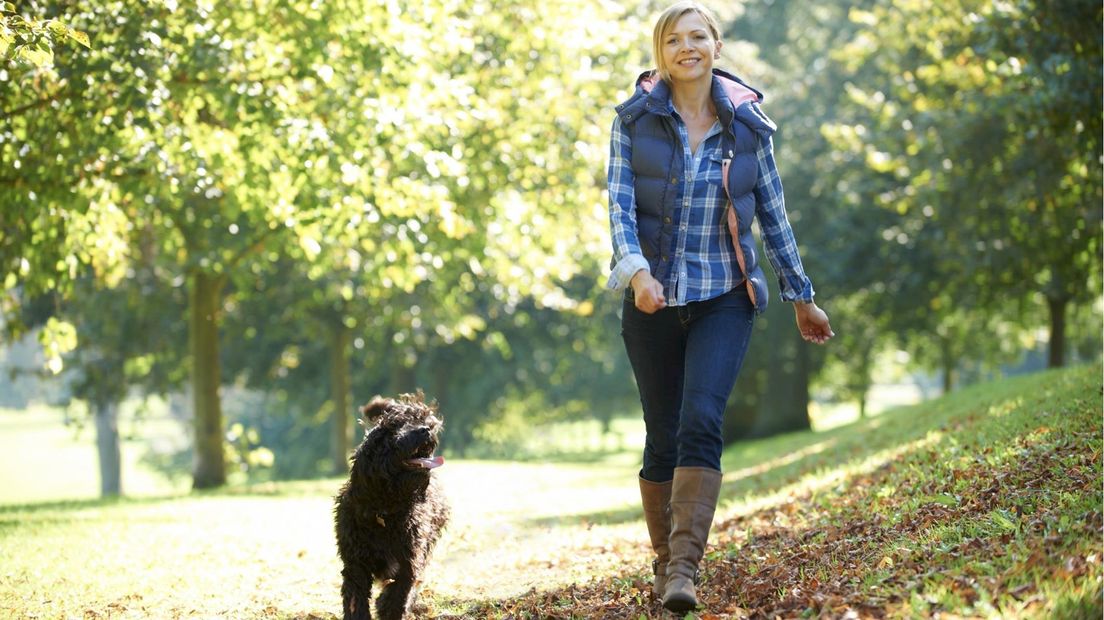Drie wandelroutes in Overijssel genomineerd tot mooie wandeling