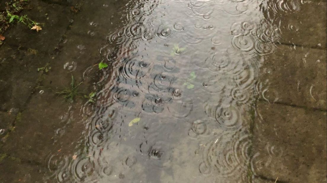 De riolering in de Zwolse wijk Stadshagen kan de hoeveelheid hemelwater niet aan