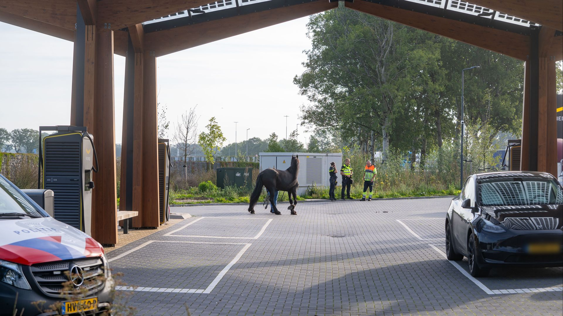 Paard neemt onverwachte pauze langs A1
