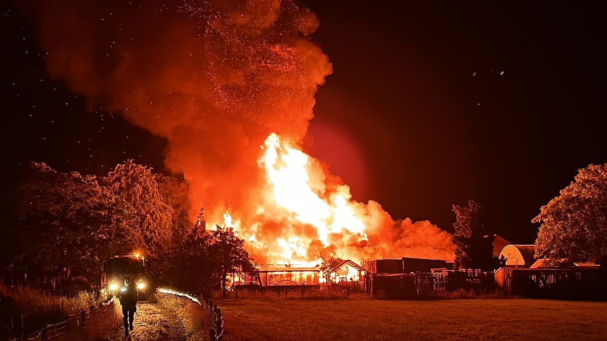 Brand slaat over van schuur naar woning in Melderslo