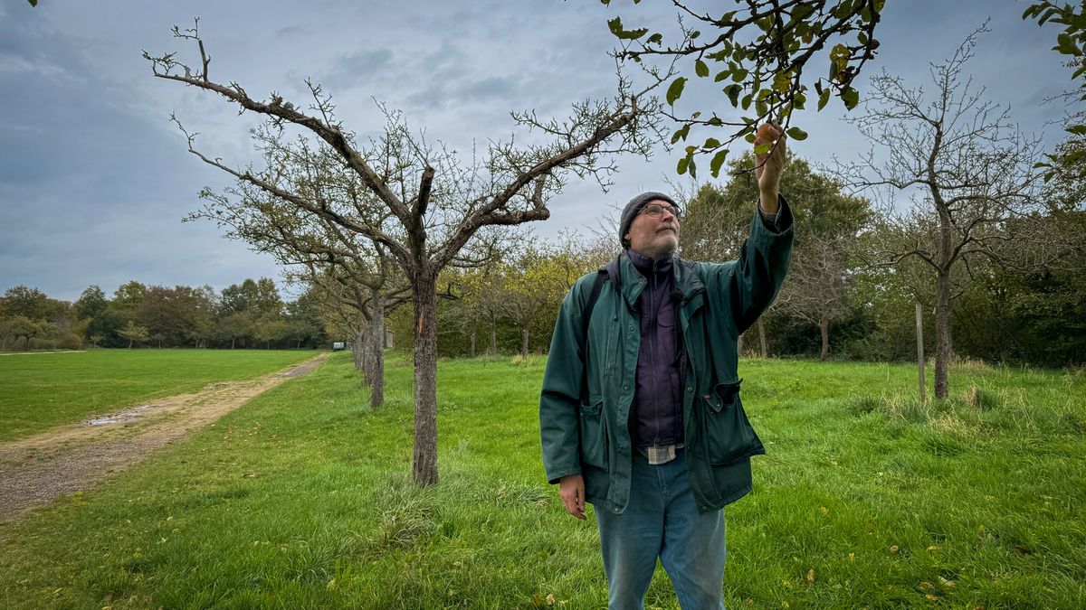 De Week van Drenthe: Van unieke fruitbomen tot een nieuwe commissaris van de Koning