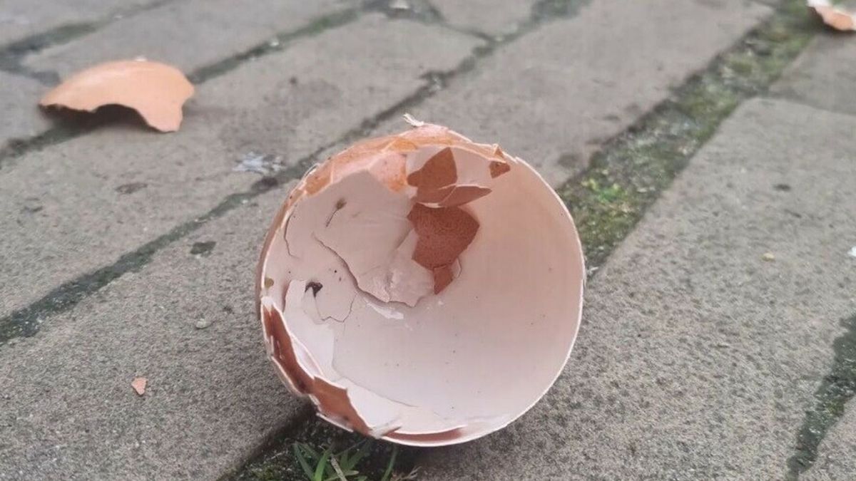 Inwoners Arnemuiden getreiterd door jongeren: 'Bijna een hartaanval' als er 's nachts op het raam wo