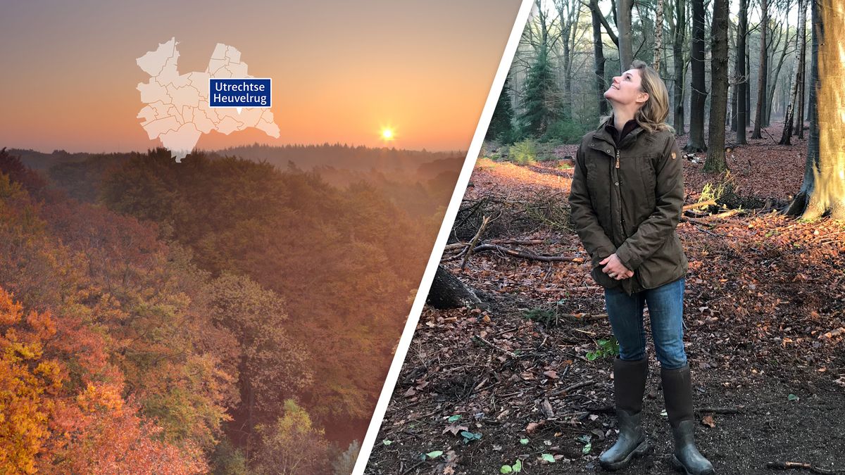 Utrecht volgens Hanne Tersmette: ‘In mijn achtertuin lopen gewoon reeën rond’