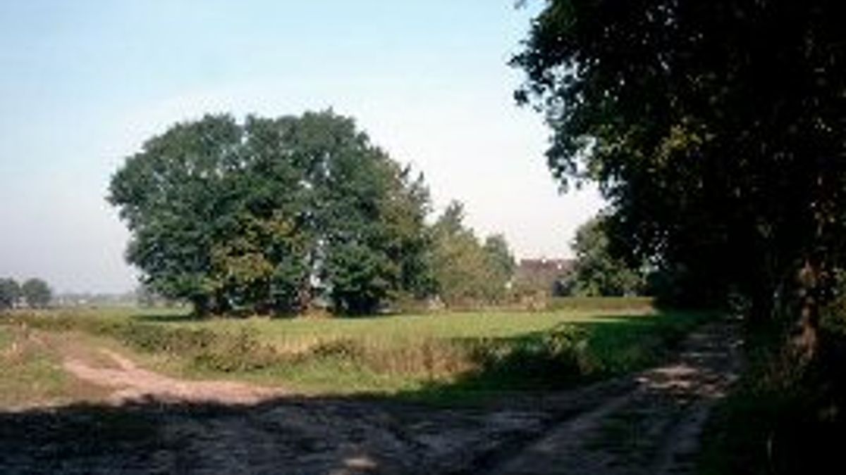 Zandwegen Zeegse aangepakt