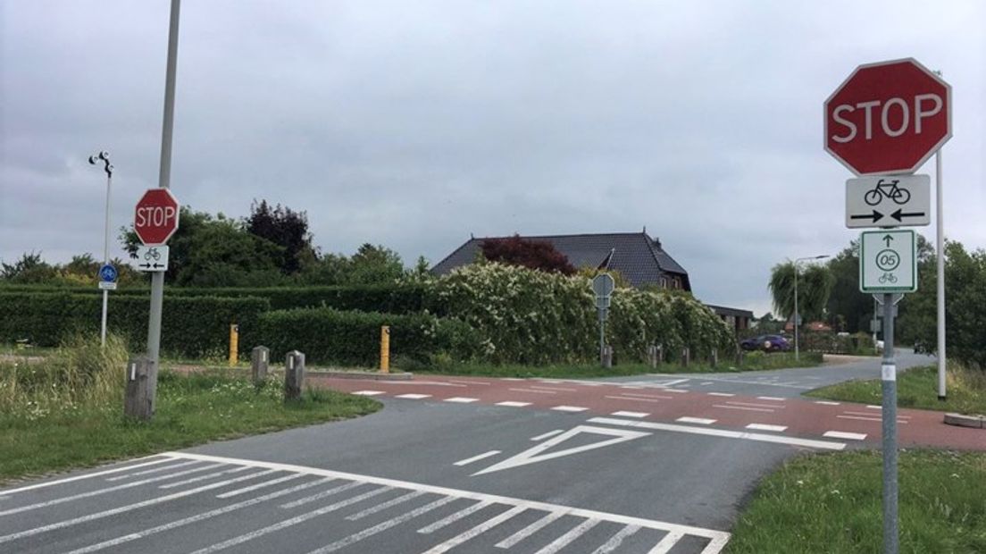 De kruising van de Rijkerswoerdsestraat en het RijnWaalpad.