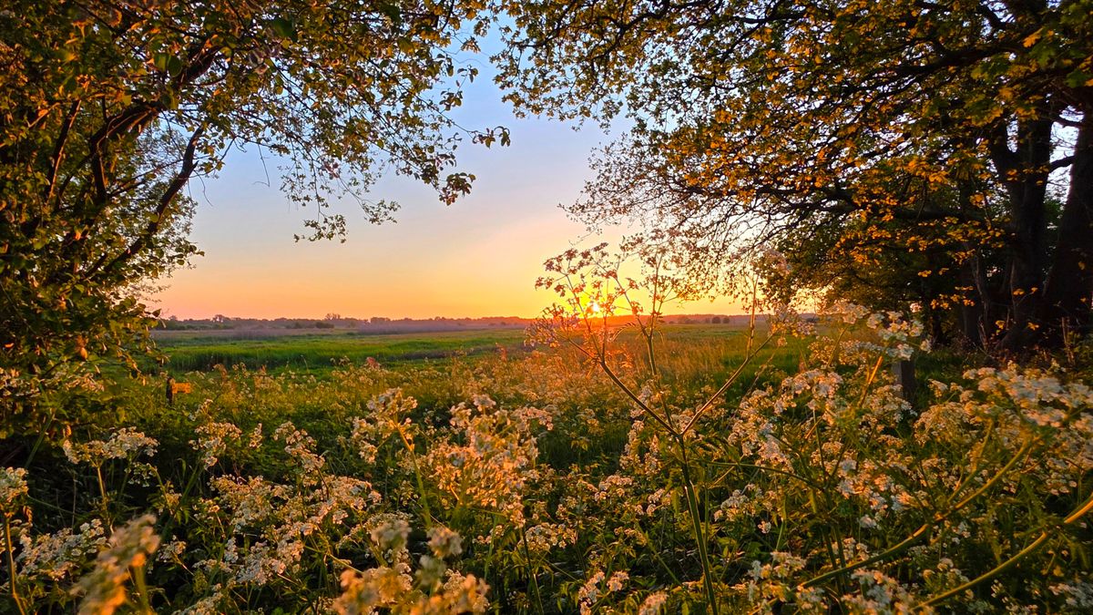 Wat is er dit weekend te doen in Drenthe?