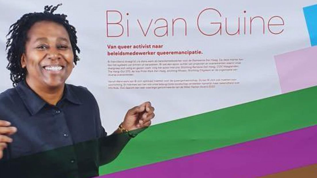 Bi van Guine