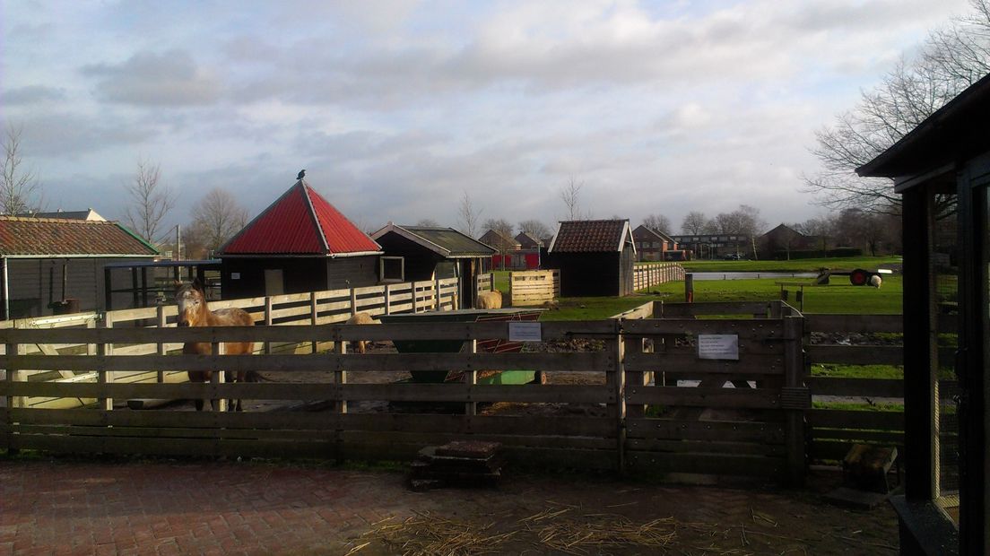 Kinderboerderij Sterrenhoeve gaat dicht (Rechten: RTV Drenthe)