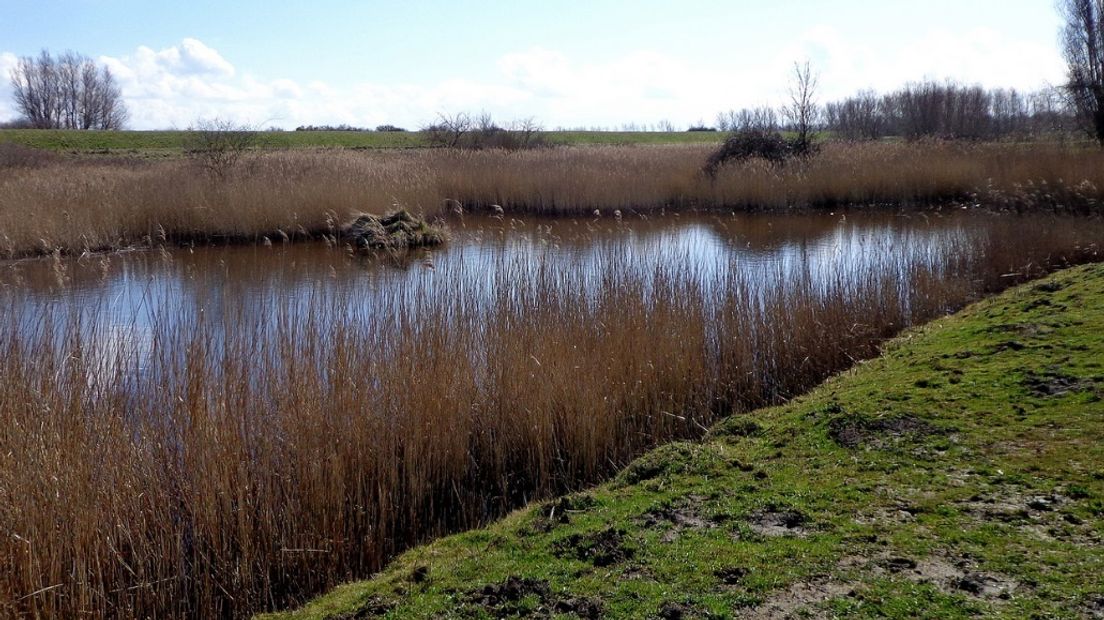 Mooi Schouwen-Duiveland