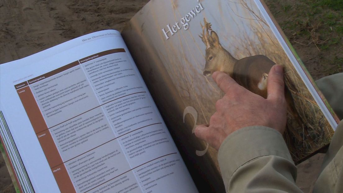 Het nieuwe boek van Bas Worm over reeën