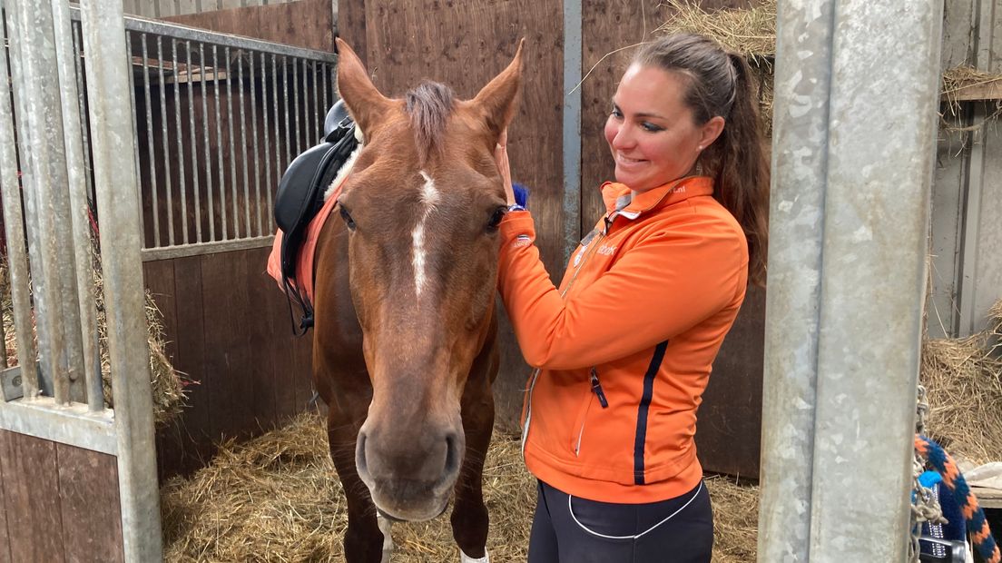 paardensport Tessa Baaijens Happy Grace