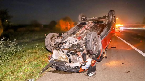 Vier paarden sloegen op hol, één werd doodgereden op snelweg