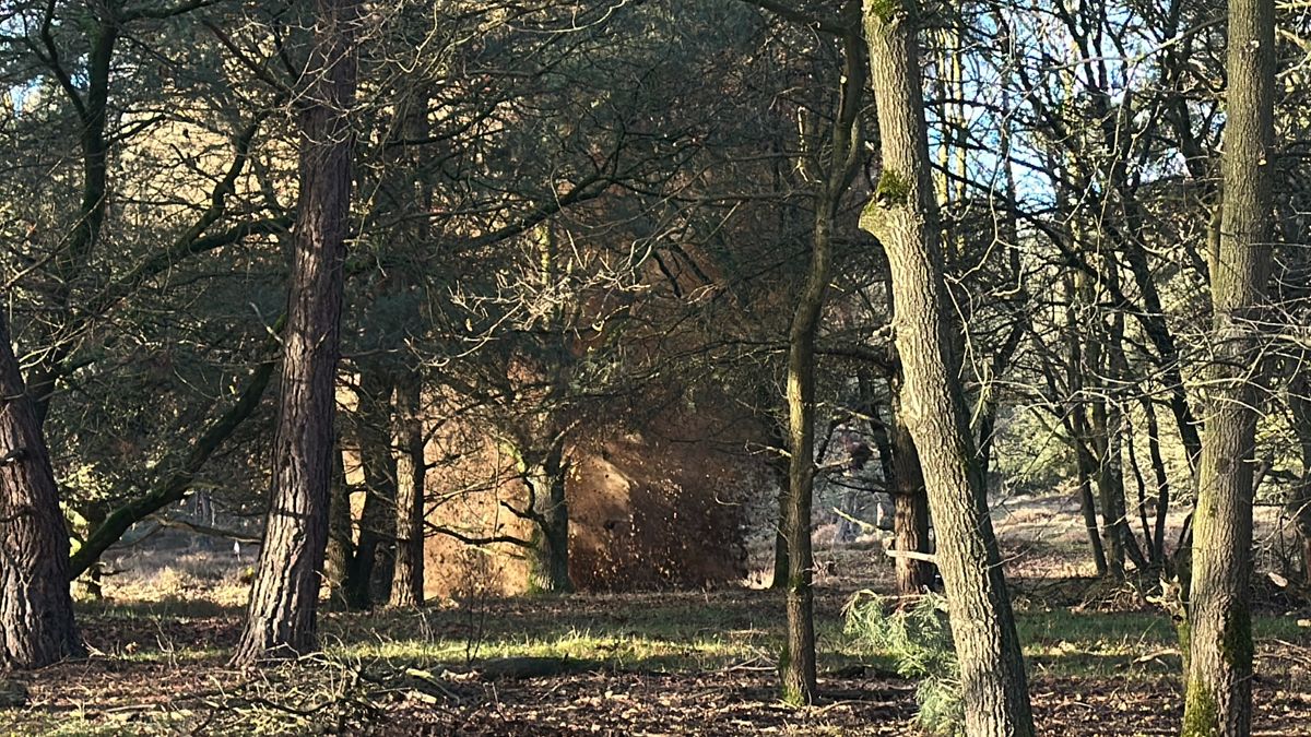 EOD vernietigt explosieven na vondst in woning in Tienray: dit zijn de beelden