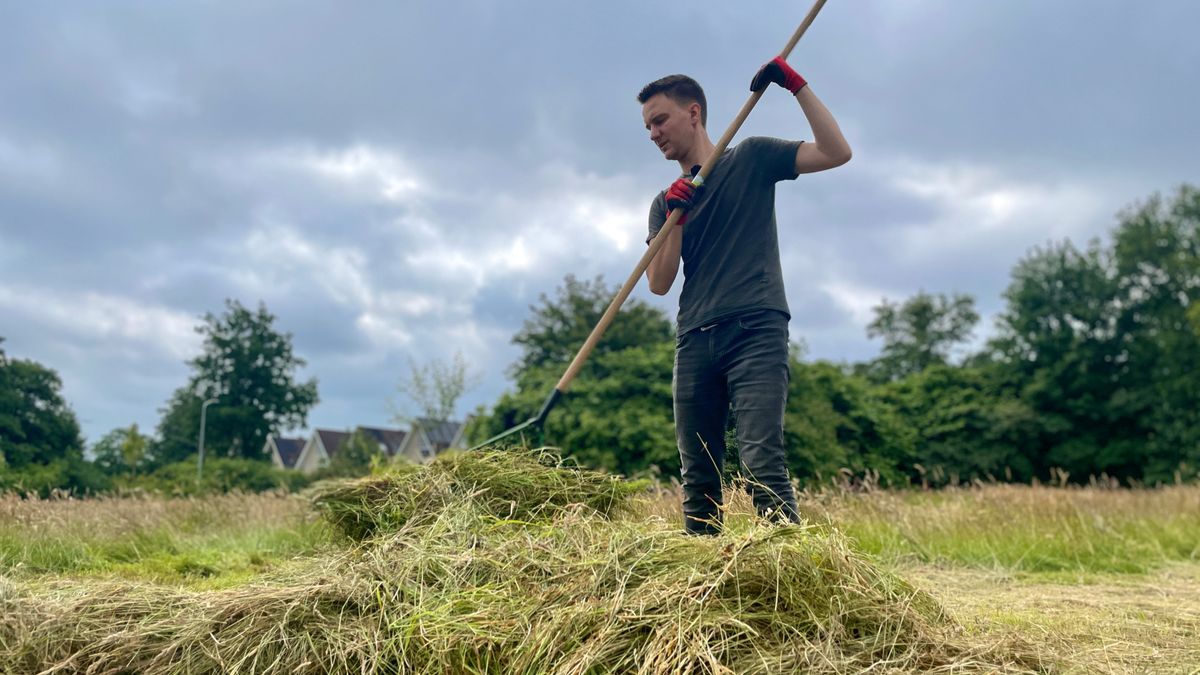 Fruitbomen maken eentonig veld avontuurlijker