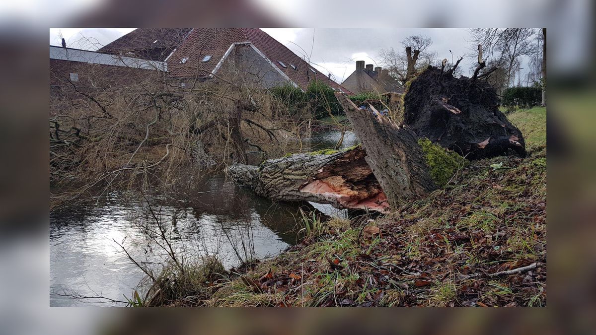 Erf wordt ruïne door storm