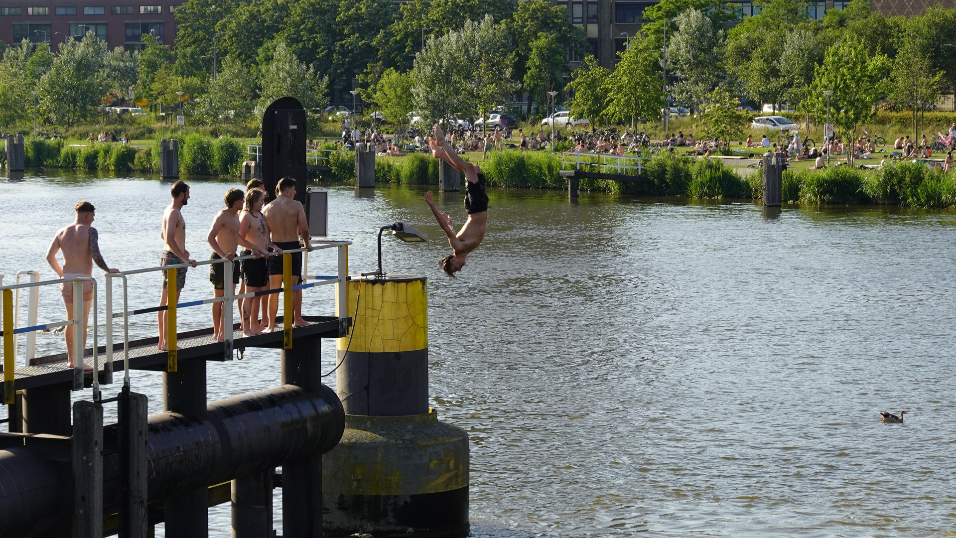 Veel Rotterdammers zoeken verkoeling in de Coolhaven, waar dat eigenlijk niet mag.