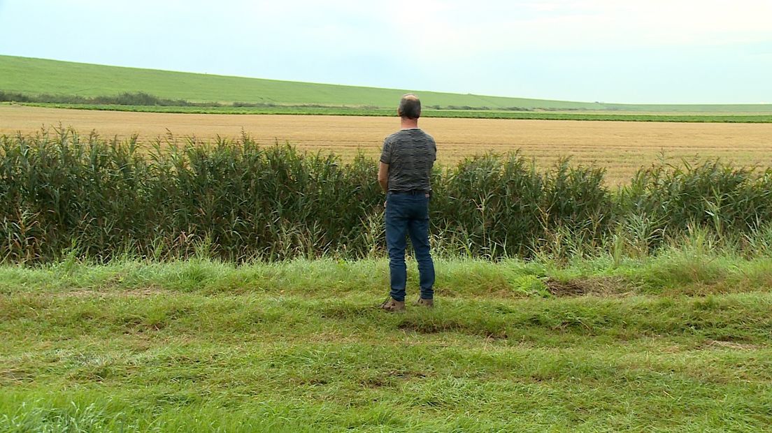 Charles Heiszler kijkt over westelijke Perkpolder uit