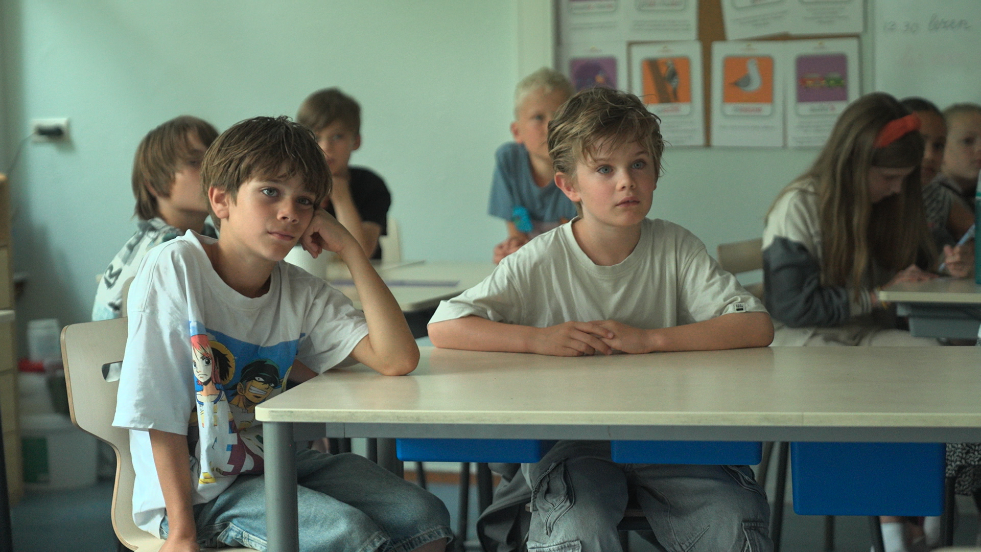‘Hij bijt hard, maar eet geen mensen’: kinderen leren op school over de wolf