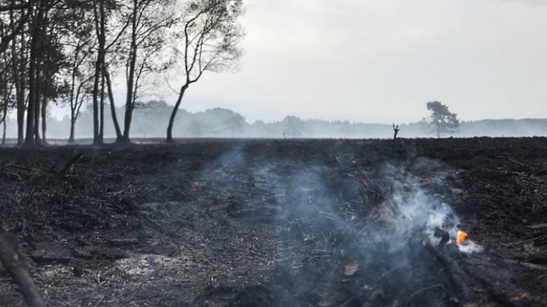 De brand laat een zwartgeblakerd gebied achter (Rechten: RTV Drenthe/Andries Ophof)