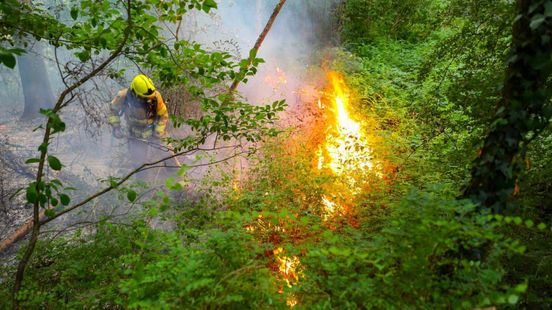 Brand in bos mogelijk aangestoken • slecht nieuws op vakantieadres