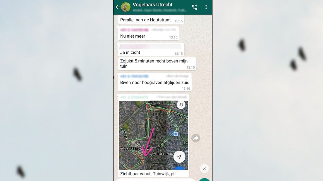 In een WhatsAppgroep houden Utrechtse vogelliefhebbers elkaar op de hoogte.