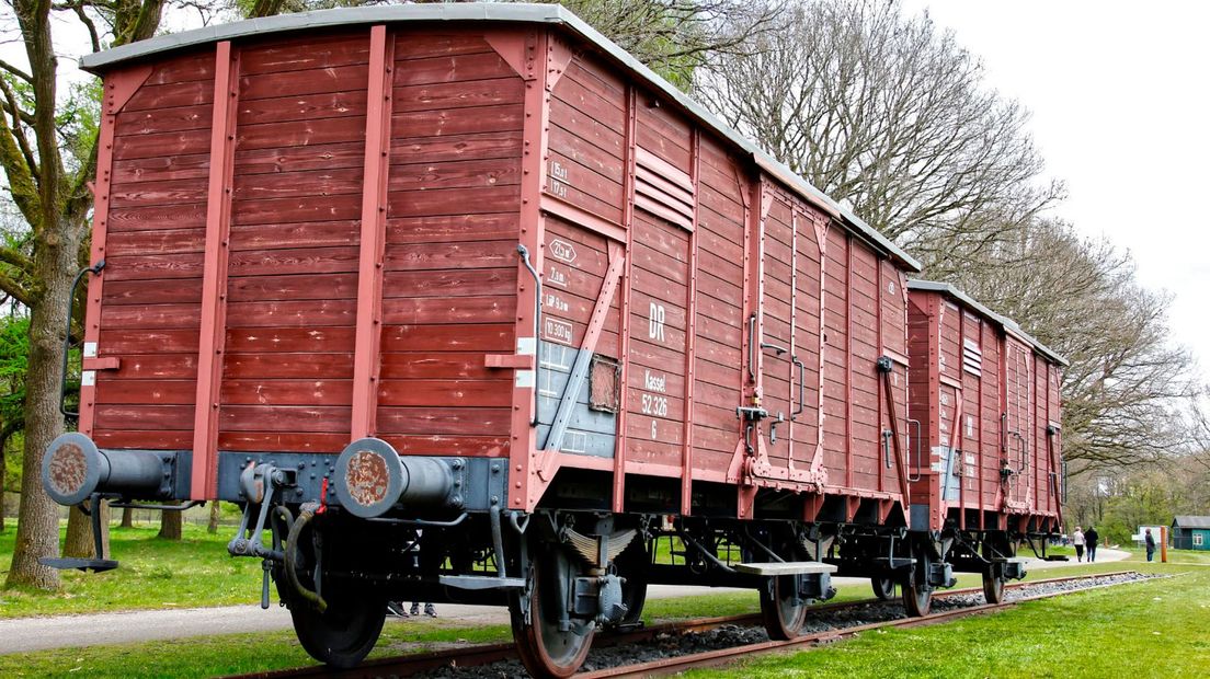 Replica's van veewagens in Westerbork.