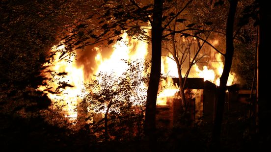 Brand kost leven van tienduizenden bijen, imker verdrietig: 'De ravage is gigantisch' Home