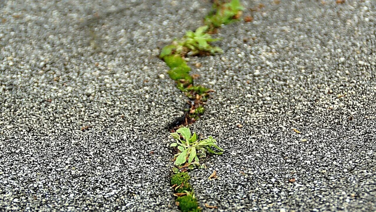Fietspad bij Zuiddorpe nog steeds niet gerepareerd; scheuren, hobbels en lekke banden
