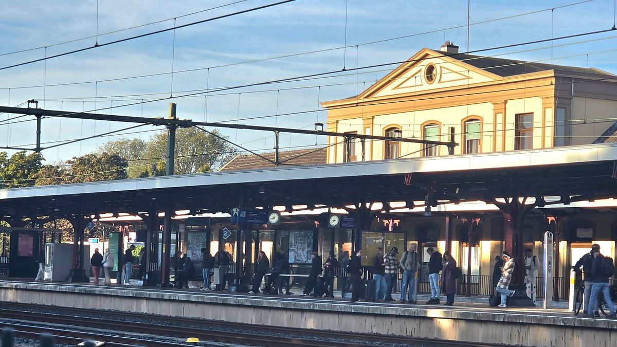 Tot ten minste 12.00 uur geen treinen tussen Hoogeveen en Meppel, NS zet snelbussen in