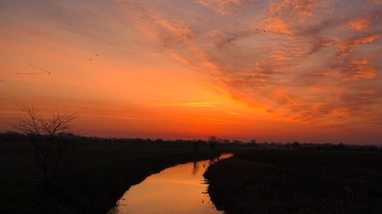 Deze drie factoren zorgen voor een flink verminderde luchtkwaliteit