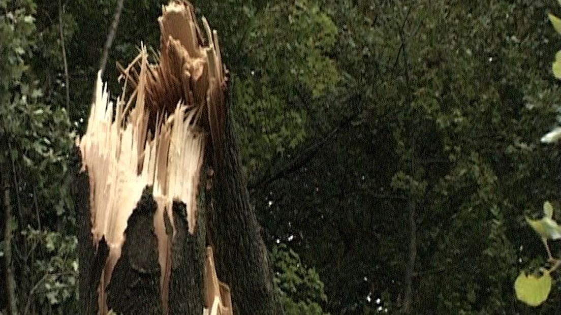 Windhoos raast over Dalfsen