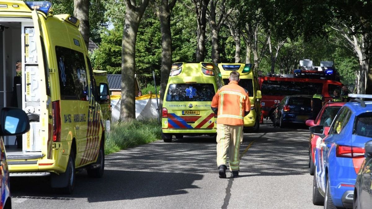 Zes zwaargewonden, onder wie vijf jonge kinderen, bij auto-ongeluk ...