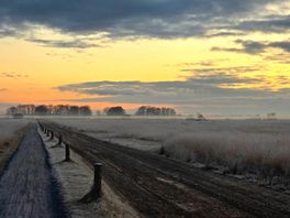 Dit wordt het weer: frisse ochtenden en zonnige middagen