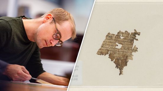 Onderzoeker ontdekt 1700 jaar oud fragment van De Odyssee in Utrechtse universiteitsbibliotheek Home