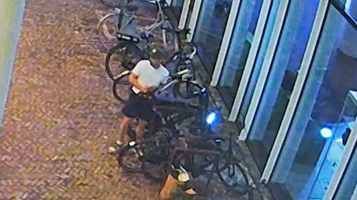 Heen met benenwagen en terug op fatbike, wie is deze fietsendief in Hengelo?