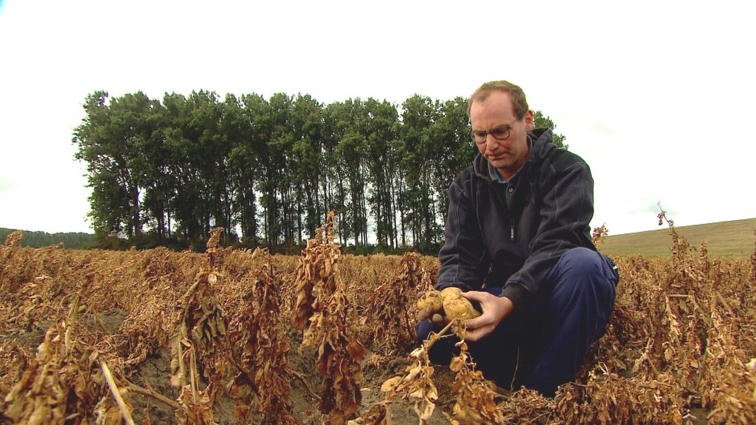 Pachtboer Renaat Heyndrickx bij zijn laatste oogst