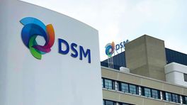 Gefuseerd DSM grootste stijger op AEX