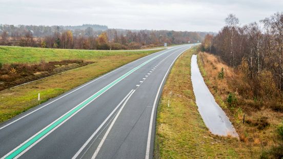 Wolf dood na aanrijding tussen Appelscha en Hoogersmilde. Wolf dood na aanrijding tussen Appelscha en Hoogersmilde.