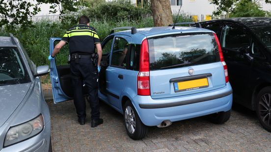 Minderjarigen stelen auto, scheuren door tuinen en slaan op de vlucht Nieuws