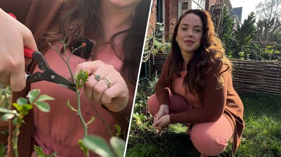 Dit kun je nu doen in de tuin: tips van Anne Wieggers