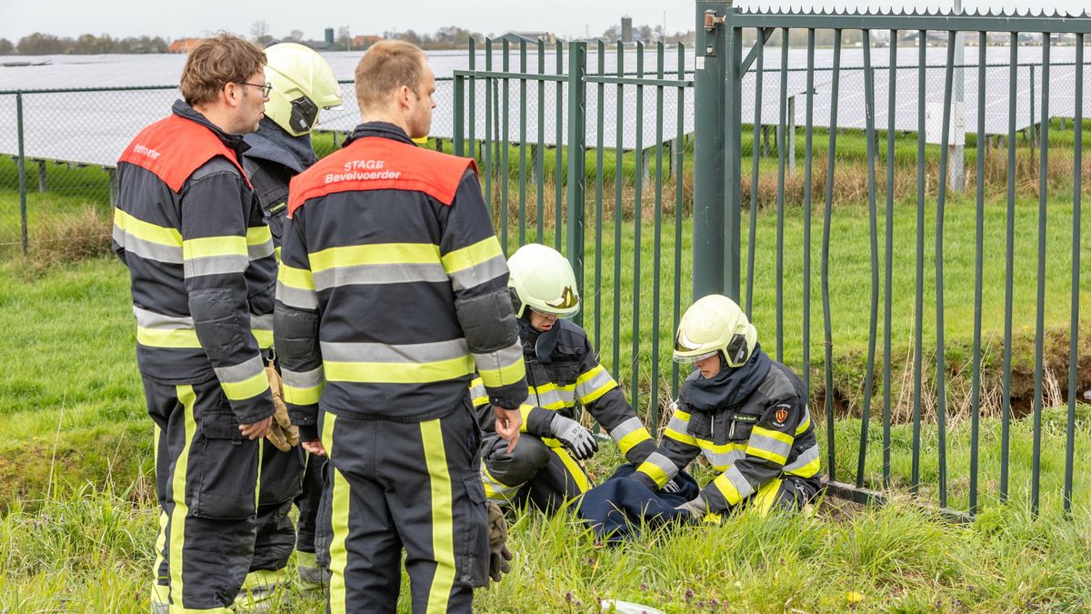 Brandweer Wolvega bevrijdt ree uit hek