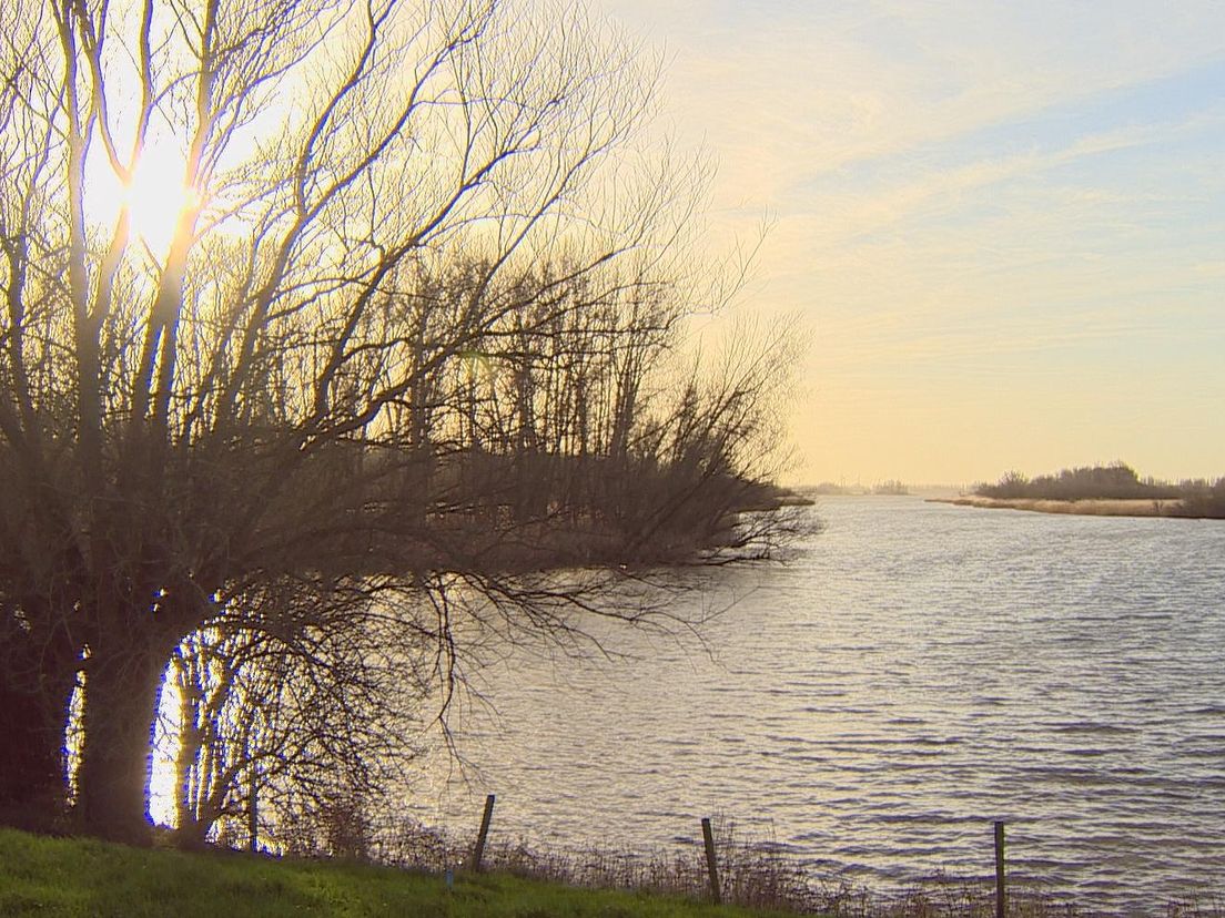 De Biesbosch