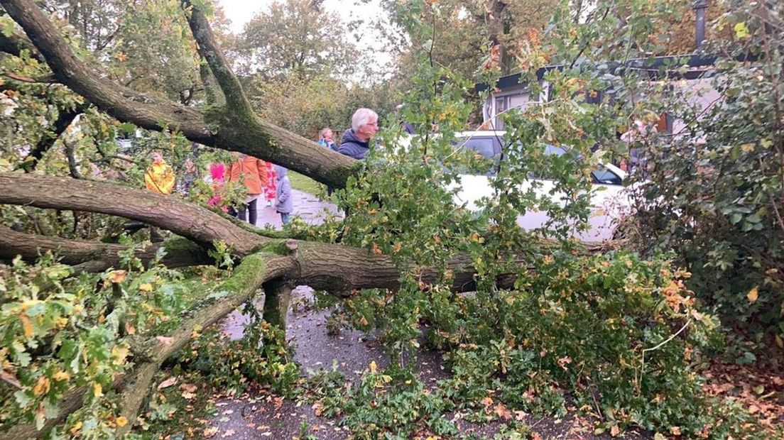 Een windhoos trof een camping in Zelhem.