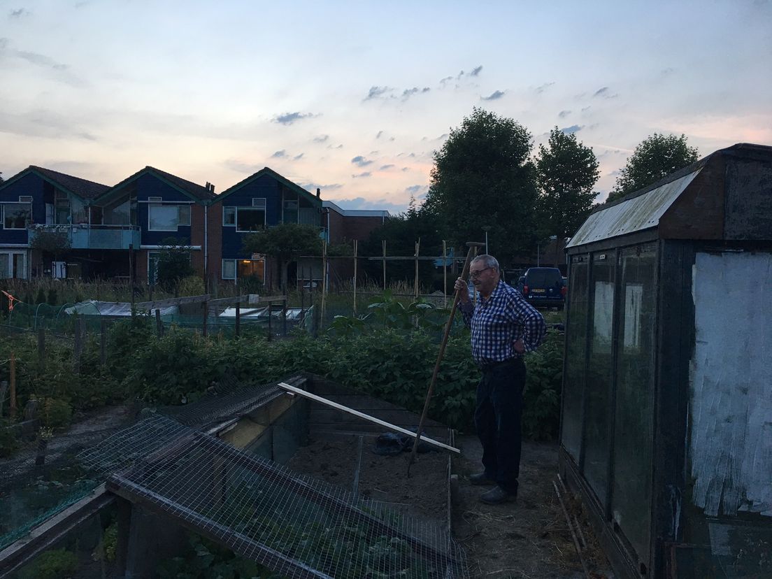 Marius Dekker gaat altijd vóór zonsopgang naar zijn moestuin