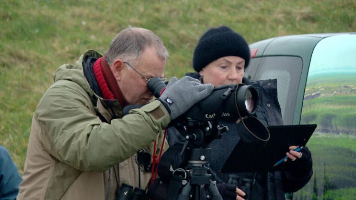 Vroege vogels tellen ganzen in Hoofdplaat