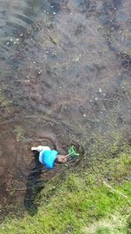 Drentse onderwaterwereld